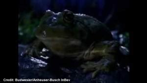 Super Bowl classic commercial: Budweiser “Wassup” | Watch News Videos ...