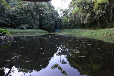 Governo Publica Decreto Para Cria O Do Parque Estadual Mata Do