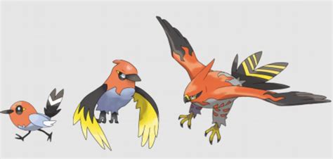 Pokemon Fletchling Evolution