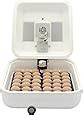 Amazon Hovabator Egg Incubator Advanced Combo Kit