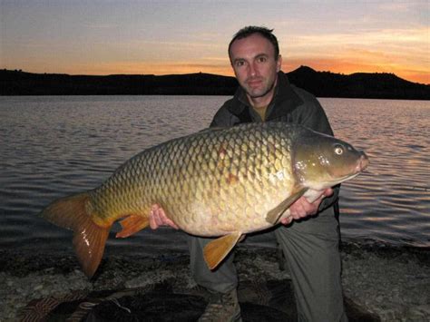 What Is The Biggest Carp Ever Caught Plus Where To Go Guide