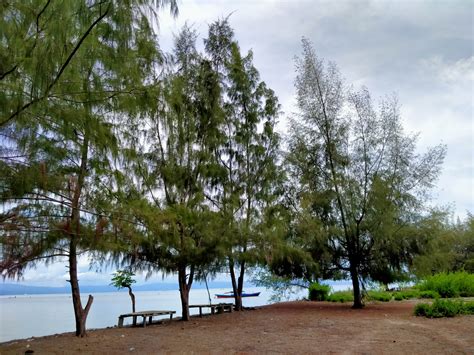 Pesona Pantai Kayu Angin Panorama Keindahan Pasir Putih