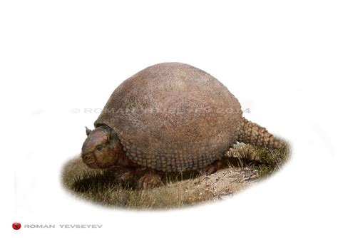 Glyptodon by RomanYevseyev on DeviantArt