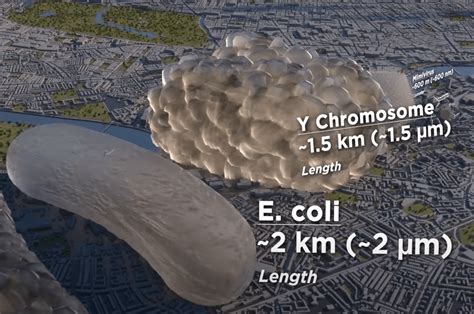 La Magia de la Fotocatálisis II Nanopurificador