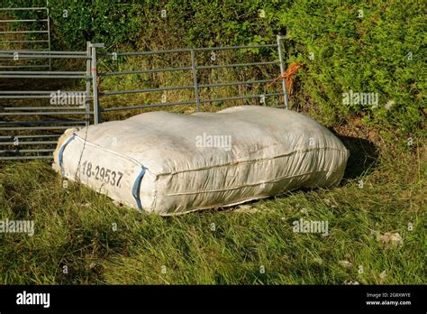 Bag Of Wool Hi Res Stock Photography And Images Alamy