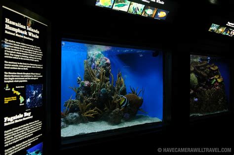 National Aquarium in Washington DC