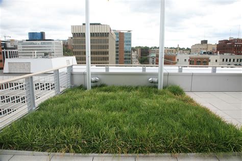 LiveRoof Brand Green Roofs 24 LiveRoof Brand Green Roof Systems