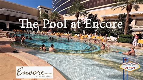 Encore Las Vegas Adult Pool Best Sale | fast-lisa.unibo.it