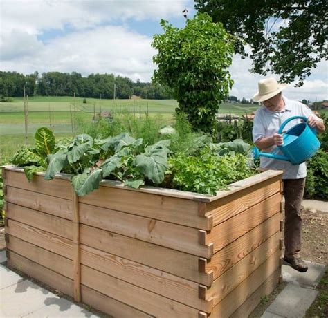 Hochbeete Liegen Im Trend Im Garten Auf Terrassen In Allen Farben