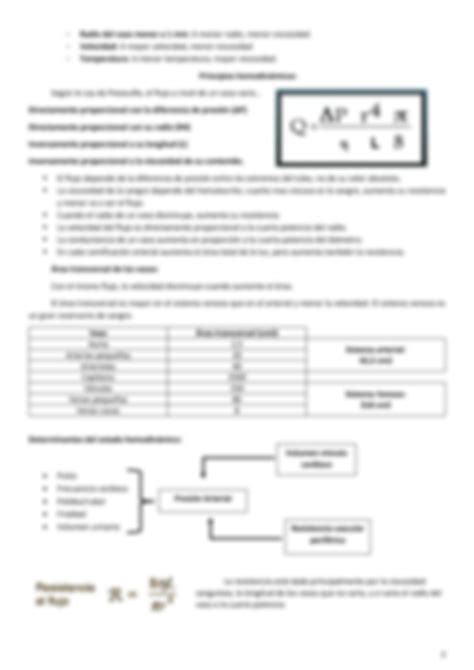 SOLUTION Circulaci N Mayor Y Menor Hemodinamica De La Circulacion