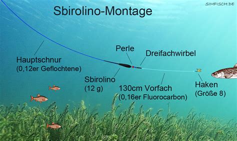 Forellenseen In Nordrhein Westfalen Simfisch De Angeln Und Outdoor