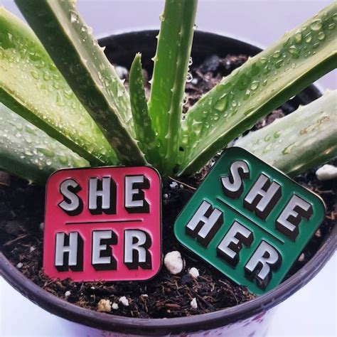 She Her Pronoun Pin Etsy