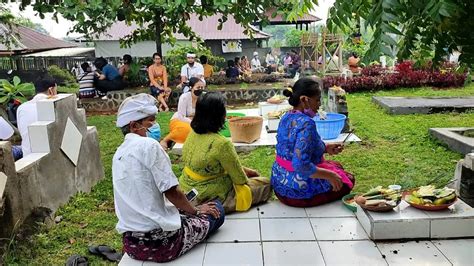 Rayakan Galungan Krama Di Buleleng Gelar Tradisi Munjung Radar Buleleng