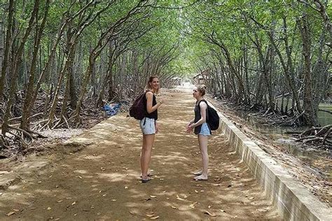 Can Gio Mangrove Forest And Monkey Island 1 Day Tour 2024 Ho Chi Minh