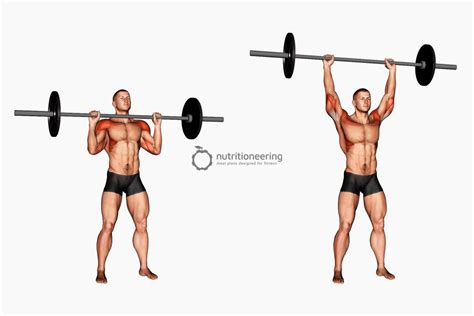 15 Compound Shoulder Exercises For Strength And Size