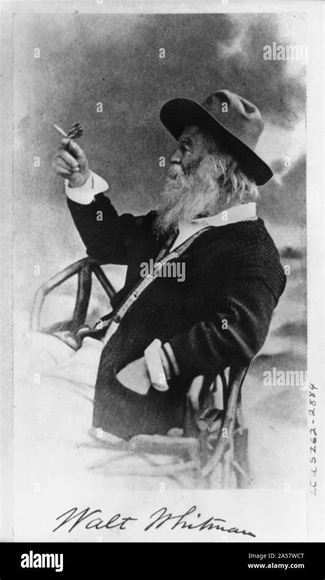 Walt Whitman Half Length Portrait Seated Facing Left Wearing Hat