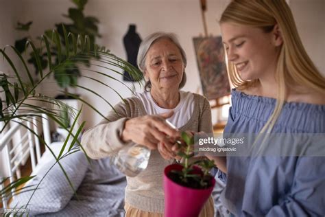 Granddaughter And Grandmother Taking Care Of Plants Together In Bedroom