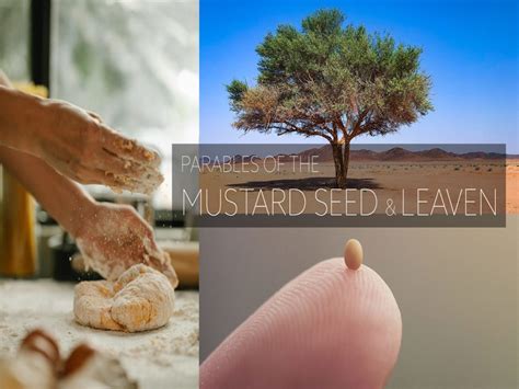 Parable of the Mustard Seed/Leaven - Sermons ‹ Westside church of Christ