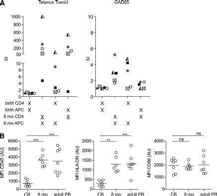 Impaired APC function in CB. A: SI over background (no antigen) of CD4+... | Download Scientific ...