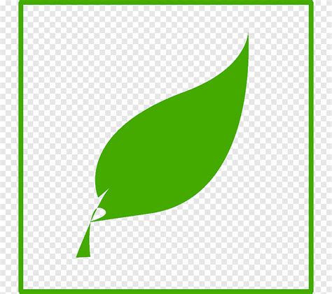 green leaf  leaf leaf text png pngegg