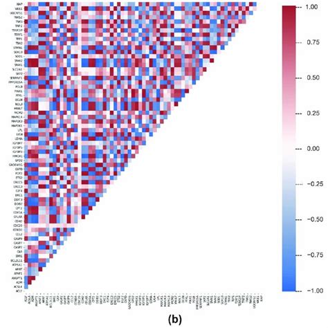 Pearson Correlations Between Gene Expression Profiles Of Analysed Cell Download Scientific