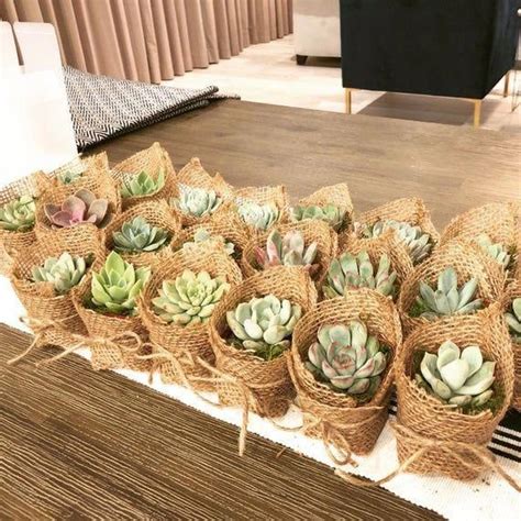 2 Succulent Party Favors Ts Burlap Rustic Etsy Burlap Wedding Favors Rustic Wedding