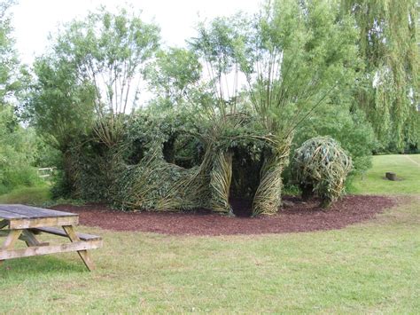 Incredible Willow Structure Living Willow Trees To Plant Plants