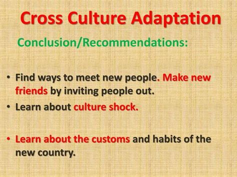 Cross Culture Adaptation Ppt