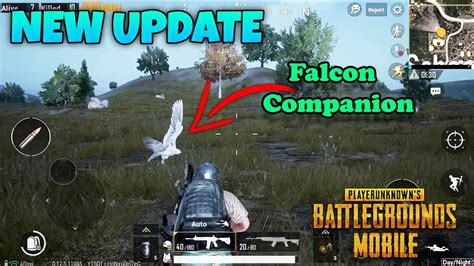 PUBG MOBILE FALCON COMPANION GAMEPLAY NEW UPDATE YouTube