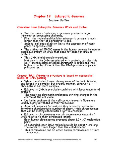 Campbell Chapter 19 Summary Essential Biology Chapter 19 Eukaryotic