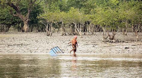 Sunderbans Sunderbans Fishermen Look For Safer Life And Better Wages