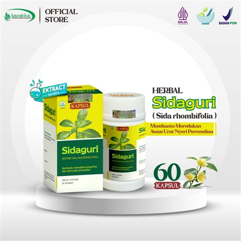 Jual Sidaguri Kapsul Original Tazakka Isi Ekstrak Jamu Nyeri Sendi