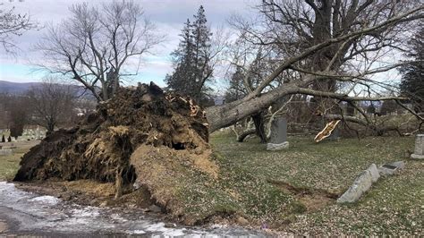 Strong Winds Knock Down Trees At Cemetery