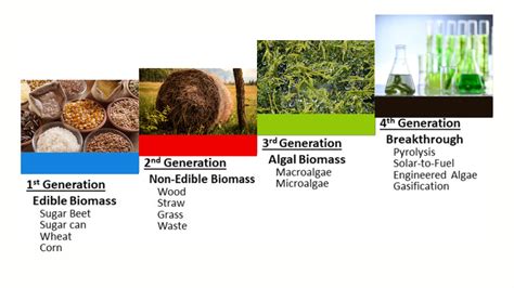 Algal Biofuels: The Third-Generation Biofuels - Sigma Earth