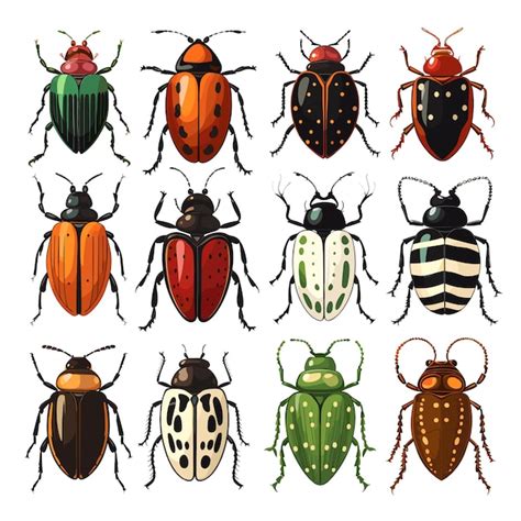 Premium Vector Hand Drawn Flat Color Beetle Illustration Set