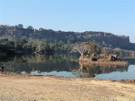 Royal Ranthambore Experience – WildNatureScapes