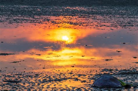 Atardecer Reflexión Playa Foto gratis en Pixabay Pixabay