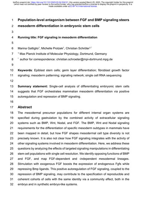 PDF Population Level Antagonism Between FGF And BMP Signaling Steers