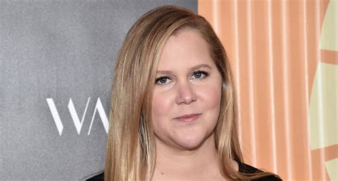 Amy Schumer Looks Back On 2019 With New Photos Of Son Genes Birth