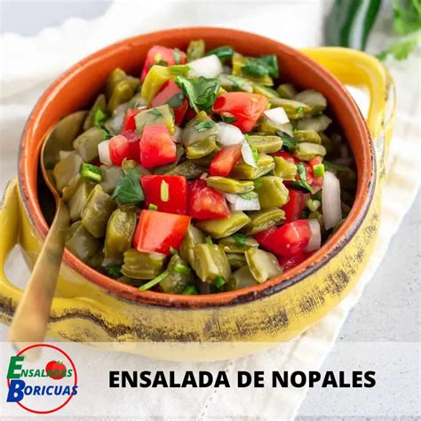 → Receta《 Ensalada De Nopales》 Puertorriqueña ※ ↑↑ 【2024】