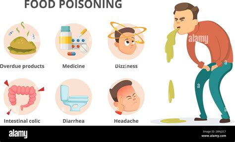 Diferentes Síntomas De Intoxicación Alimentaria Imágenes Infográficas
