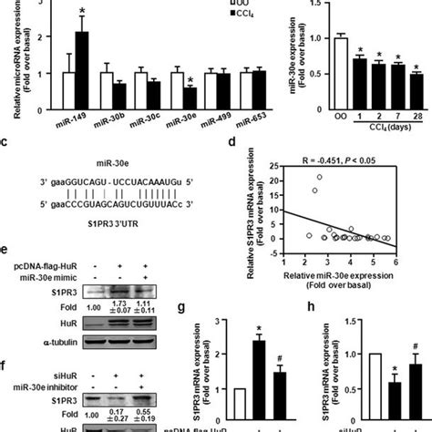 HuR Regulates S1PR3 Expression By Competing With MiR 30e A MiRNAs