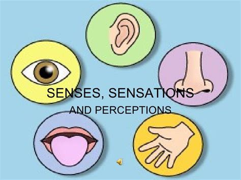 Psychology Senses And Sensations