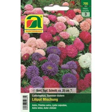 AUSTROSAAT Astern Liliput Mischung 1 Packung Bloomling Deutschland