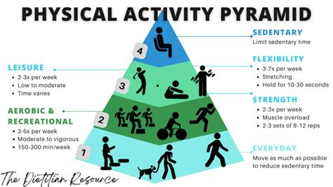 Where On The Physical Activity Pyramid Do Sedentary Activities Belong