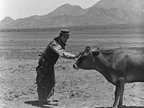 Ma Vache Et Moi Le Film Favori De Buster Keaton En Blu Ray Et DVD