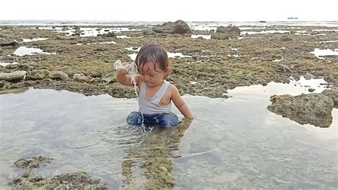 Main Dan Berenang Di Laut Bersama Ikan Youtube