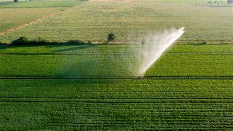 Rea Irrigada Do Brasil Pode Crescer Milh Es De Hectares Diz