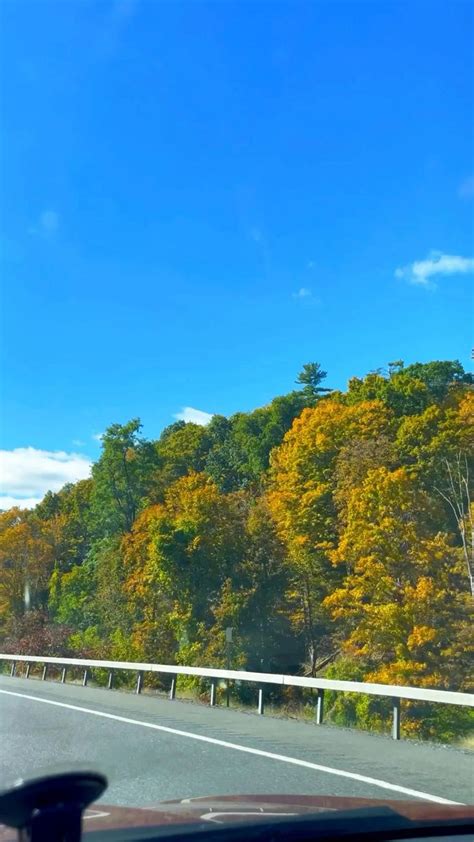 Fall Foliage In Catskills New York Travel Photography Spring