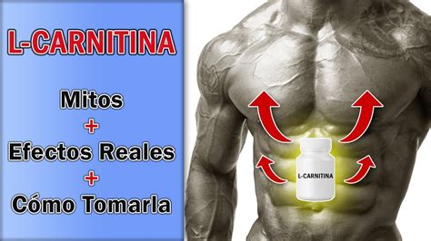 Suplementación Con L Carnitina Mitos Efectos Reales Y Cómo Tomarla